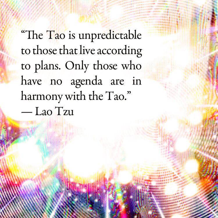 Wellspring Tao and Zen