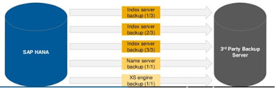 SAP HANA Guide, SAP HANA Materials, SAP HANA Certifications