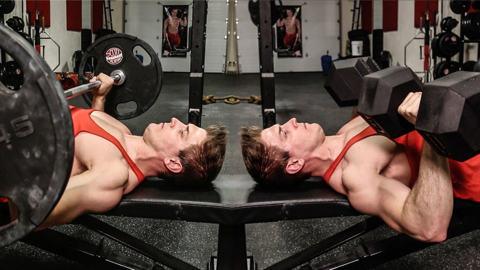 Dumbbell Versus Barbell Exercises World Bodybuilding