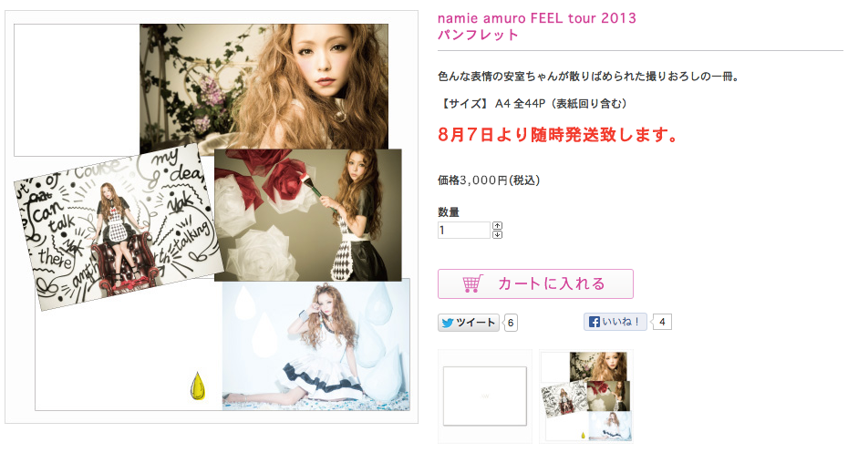 安室奈美恵 2013 FEEL TOUR パンフレット