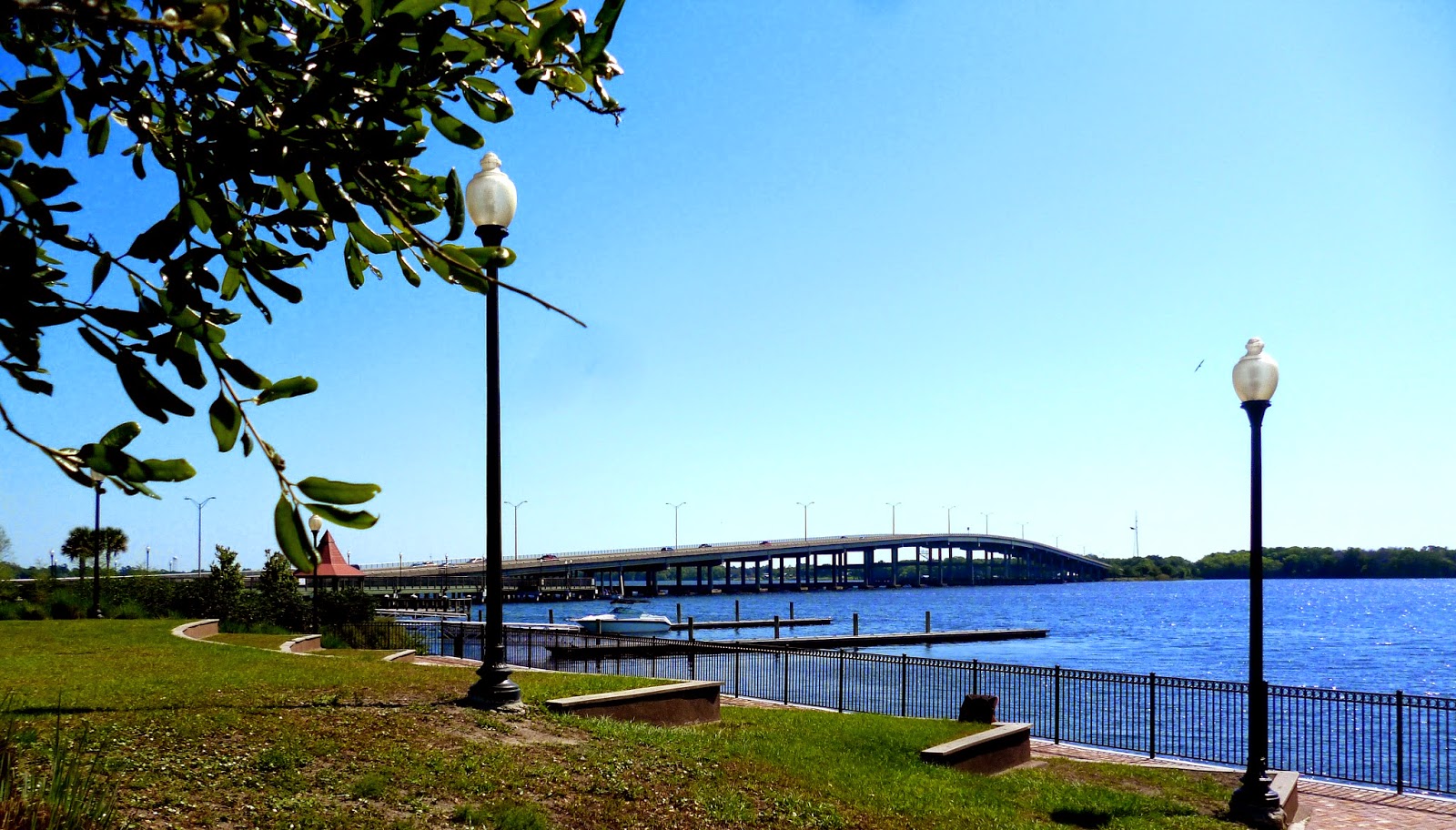 Dr Tony Shaw Palatka, Florida Old and New