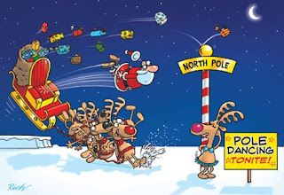 Passioni country: dicembre 2010 CORSI DI POLE GYM A SACILE e UDINE: dicembre 2011