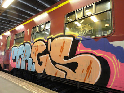 trgs graffiti train