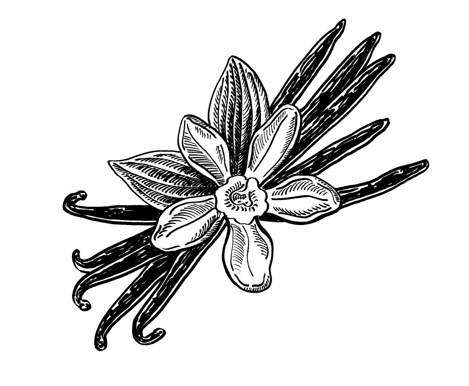 IRINA SZTUKOWSKI July 2015