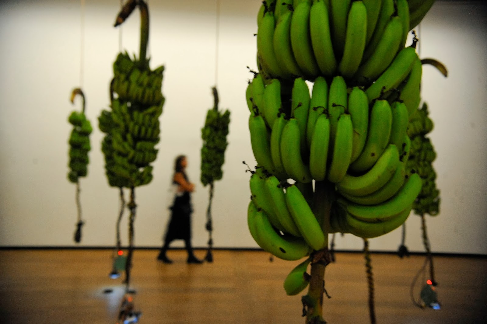 Arte / Educação Arte Contemporânea Instalação