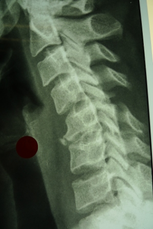 Dom in South Africa: November 2012