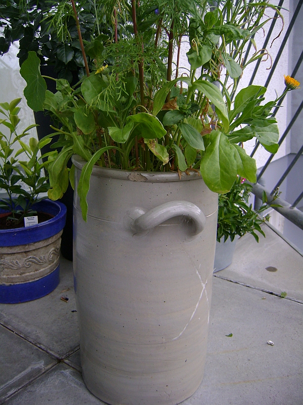 Terrassen- und Balkonbepflanzung: Pflanztöpfe und Gefäße für Balkon