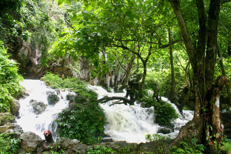 Hình ảnh có liên quan