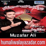 http://www.humaliwalayazadar.com/2014/11/muzafar-ali-nohay-2015.html