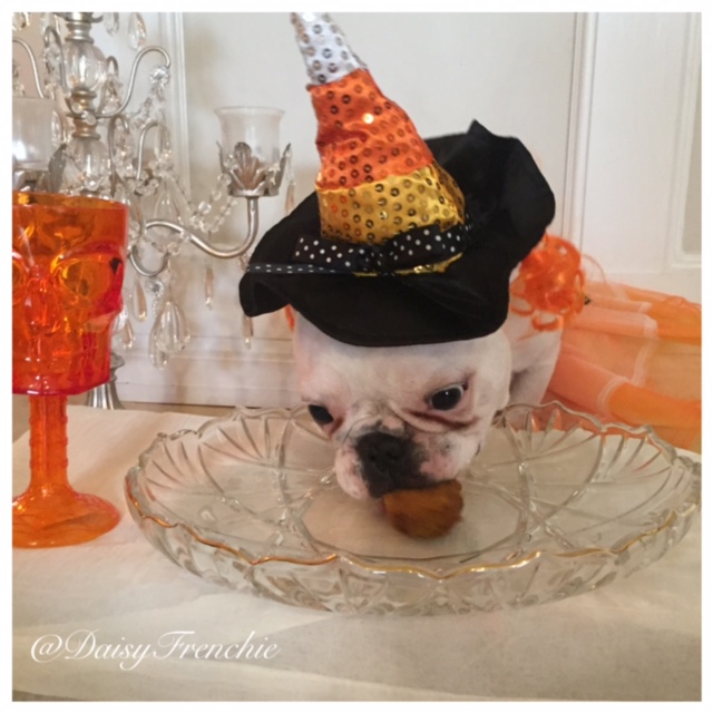 Daisy The French Bulldog: #TastyTuesday: Dog-Friendly Cinnamon #Pumpkin