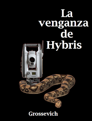 Portada de la novela en su edición digital y papel.