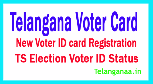 Voter