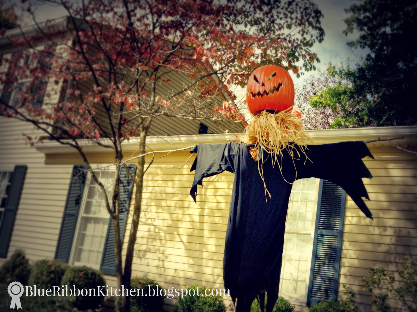 Blue Ribbon Kitchen: EASY Halloween Light Post Scarecrow
