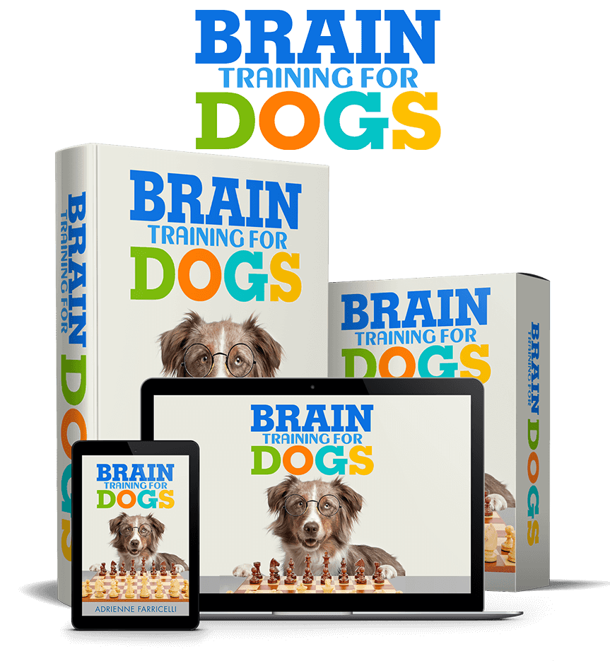 BRAIN TRAINING FOR DOGS