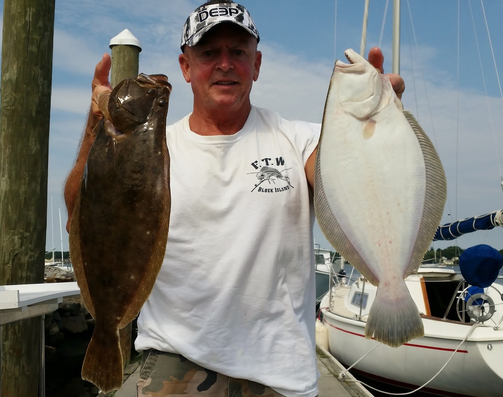 fluke fish fluke fish