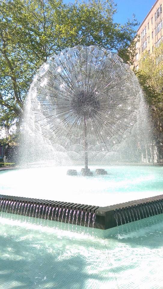 Best of the best water Features for gardens!