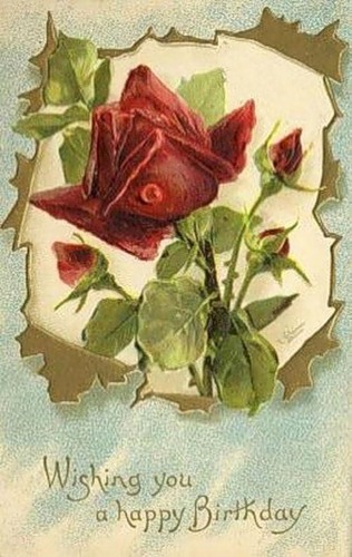 Розы художницы Катарины Кляйн