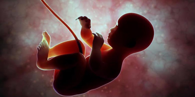 Anak Cerdas dan Sholeh Sejak Dalam Kandungan, Begini Cara Syar'i yang Bisa Bunda Lakukan Anak Cerdas dan Sholeh Sejak Dalam Kandungan, Begini Cara Syar'i yang Bisa Bunda Lakukan