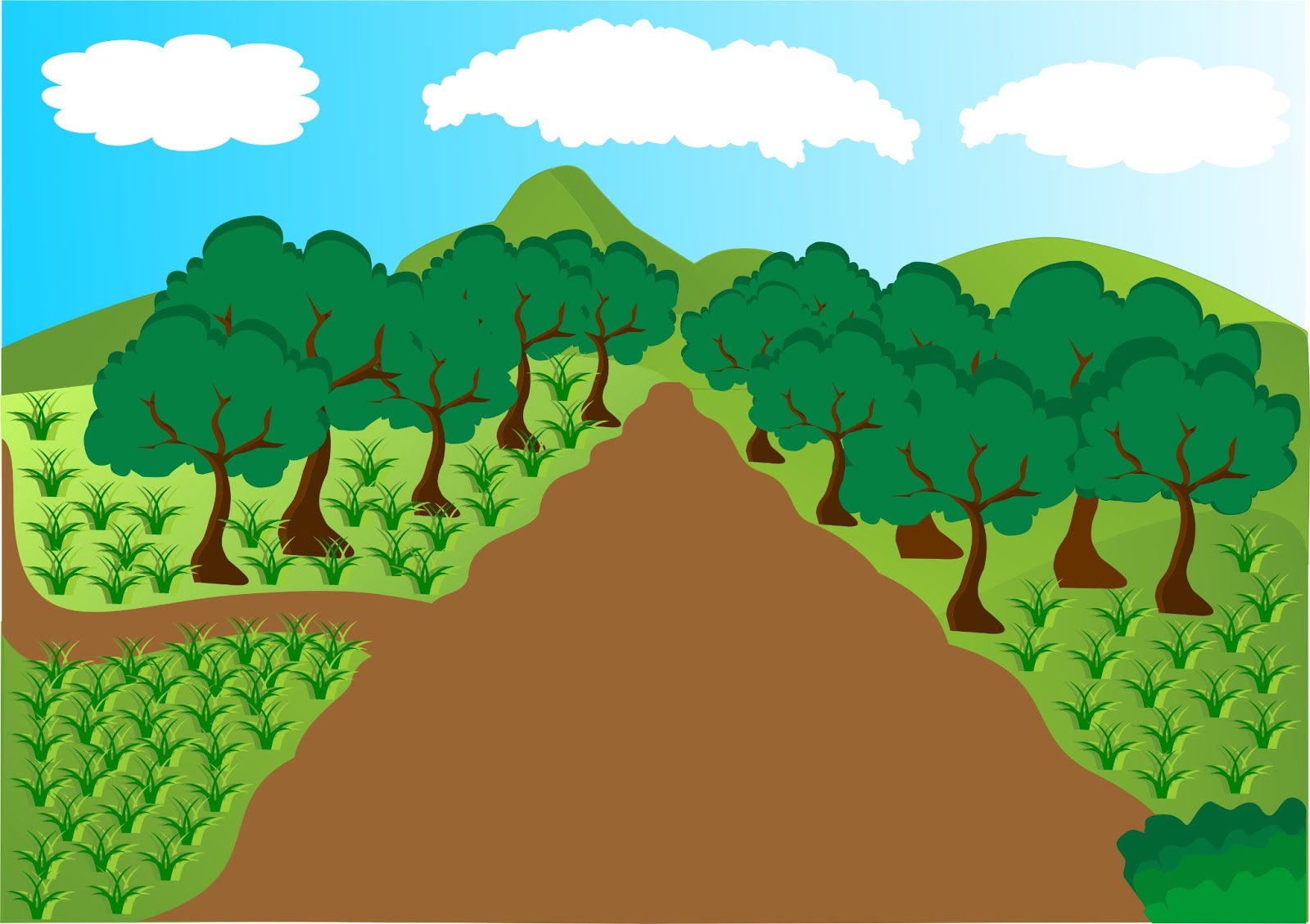 Gambar Sawah Animasi Gambar Viral Hd