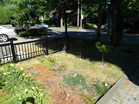 Mount Pleasant West Toronto garden renovation removing lawn before by Paul Jung Gardening Services