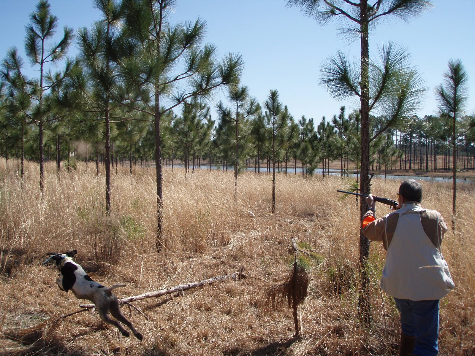 Russ Wilson Photo: Southern woods Plantation 2010
