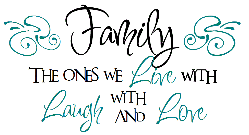 WordsWherever Vinyl Lettering FamilyThe ones we Live with Laugh with