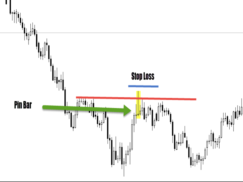 Forex without stop loss