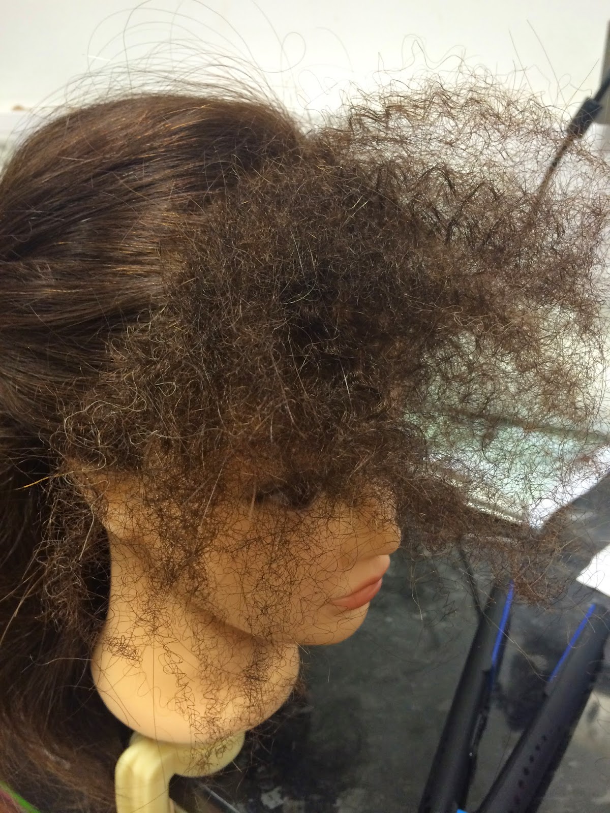 my-hair-blog-how-to-frizzing