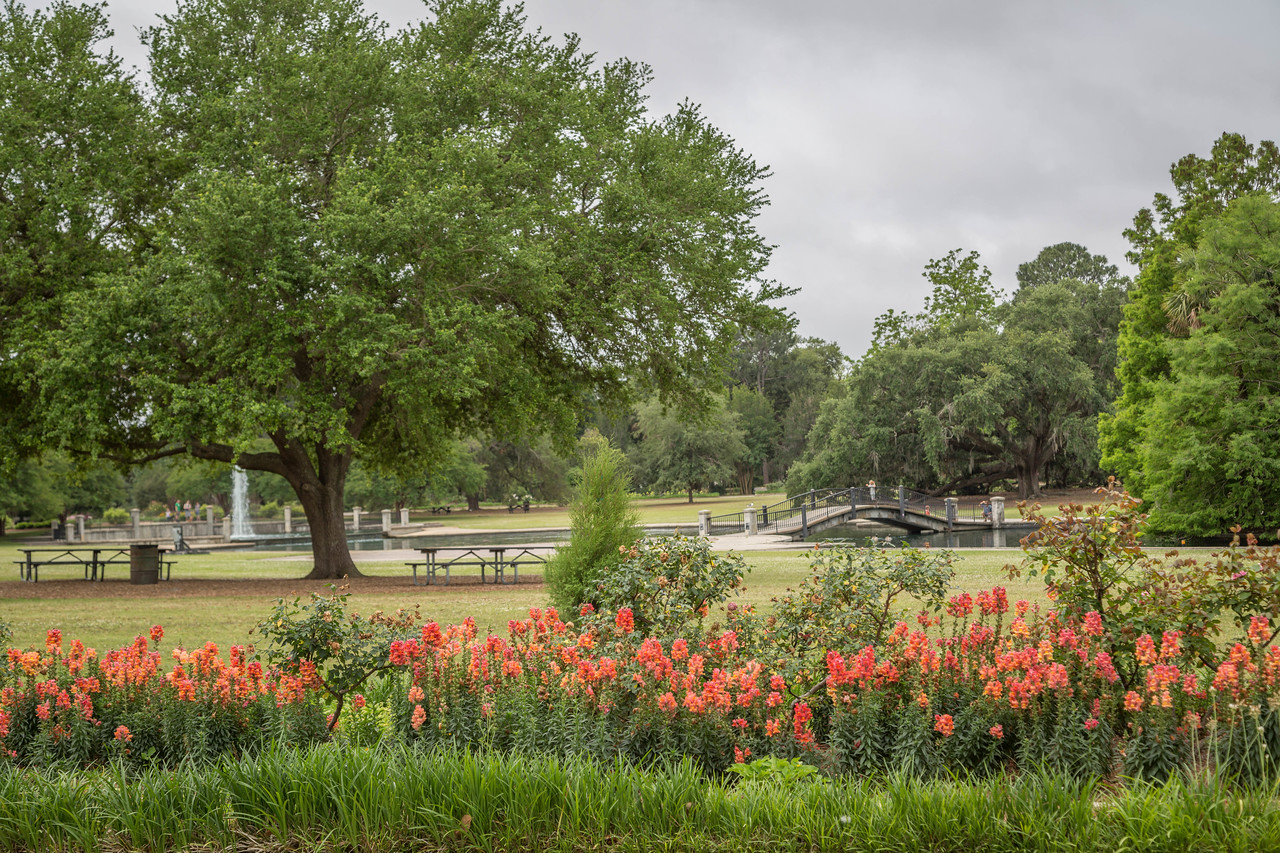 Charleston Daily Photo Flower beds at Hampton Park