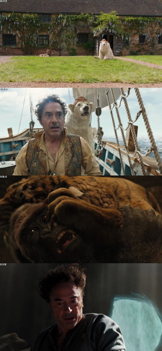 Dolittle 2020 BluRay 720p 480p Dual Audio Hindi English Full Movie Download