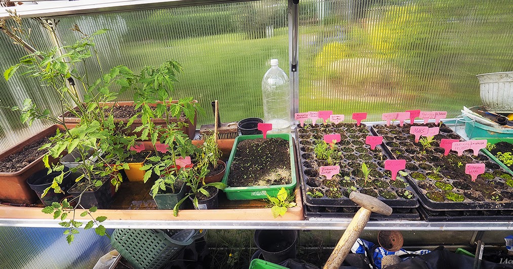 1AcoolGardening: Wann wird was wohin gesät?