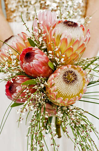 A Passion for Flowers: October 2012