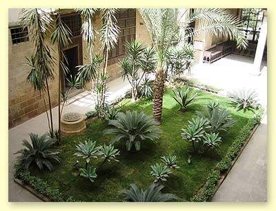 Media Informasi Pendidikan: Menata Taman di Lahan Sempit yuukk!!!!!