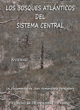 DOCUMENTAL. LOS BOSQUES ATLÁNTICOS DEL SISTEMA CENTRAL. INVIERNO. VIMEO