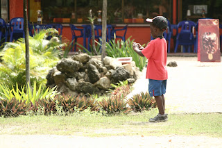 México, qué padre!! - Blogs de Mexico - Dolphin discovery, Tulum y Playa Paraíso (7)