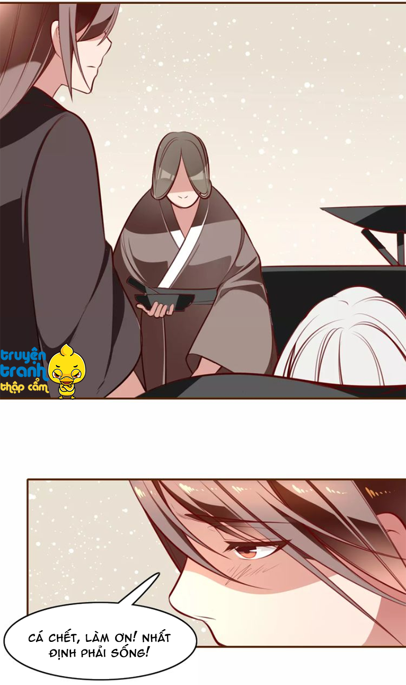 Cẩm Lý Quy - Chương 16 - Trang 12
