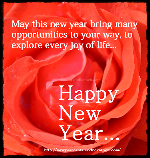 brings, opportunities, explore, joy, life, Happy New Year, New Year Card