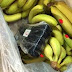 (ΚΟΣΜΟΣ)Γερμανία:400 kg κοκαΐνης ...σε  κουτιά με μπανάνες  σε super market 