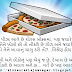 Gujarati Pizza Quotes