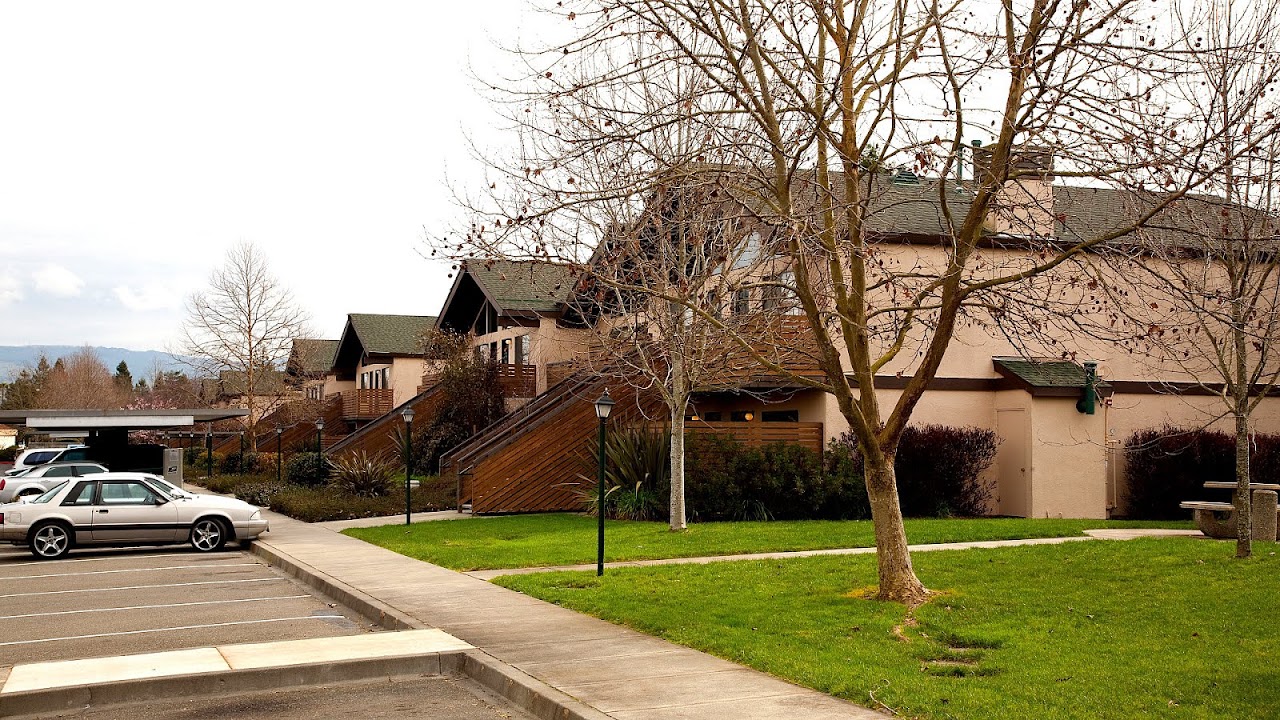 Pine Tree Apartments Chico Ca Tree Choices