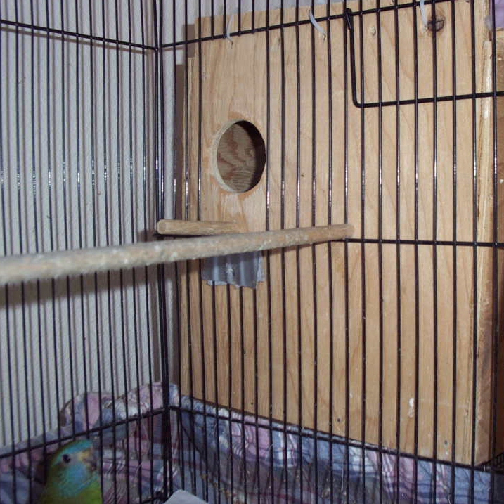 The Splendid Bourke Bird Blog: REPLACING NEST BOXES FOR BREEDING SEASON