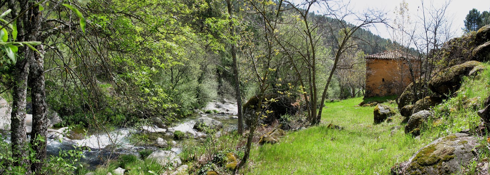 JOYANCO GUISANDO PANORÁMICAS DE GUISANDO