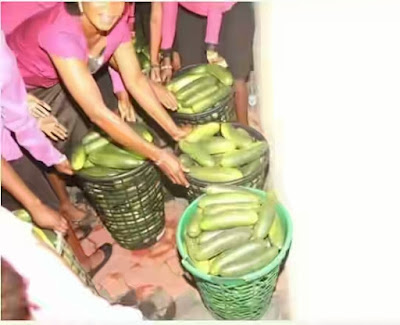 PASTOR SELLS ANOINTED CUCUMBERS TO MEMBERS DURING SERVICE OMG-Pastor-Sells-Anointed-Cucumbers-to-Members-During-Service-1