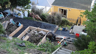 Why Is Everyone Planting Food Forests in Their Backyards?