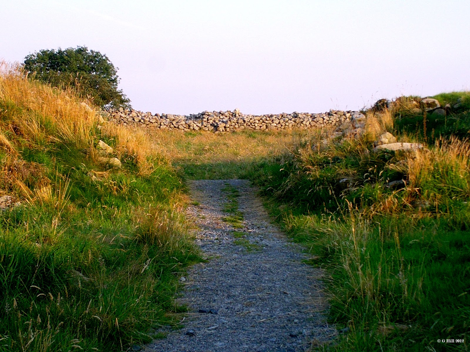 Ireland In Ruins: The Ring Of Rath Co Wicklow