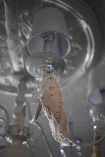 Chic,Thrifty,D.I.Y ideas for decorating a chandelier, using oyster shells and crystals