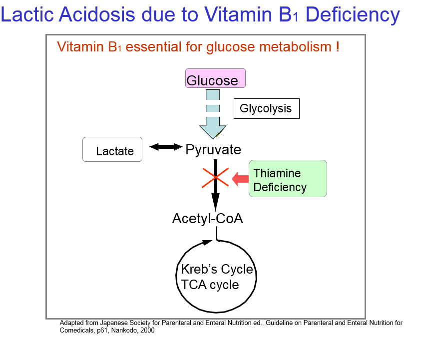 Parenteral Fluid and Nutrition Therapy The Role of Thiamine in PN