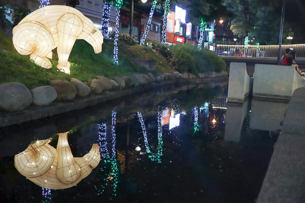 台中綠川水岸廊道夜景，海底世界水母、燈籠魚陪伴浪漫約會