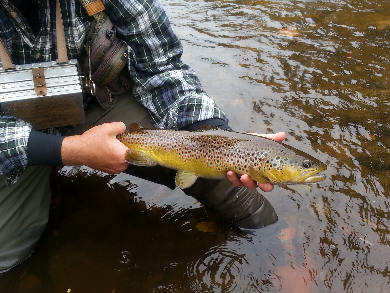 Vermont Fly Fishing