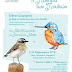 Η Πολιτεία των πουλιών  Μια έκθεση με θέμα τα πουλιά που ζουν στην Ελλάδα.  